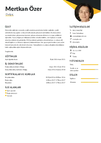 Dalgıç CV Örnekleri cv indir